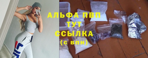 PSILOCYBIN Нея