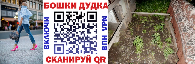 Конопля гибрид Купить закладки Оренбург